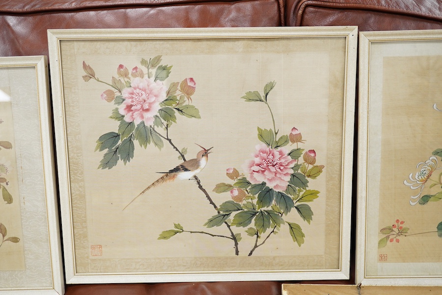 20th century, Chinese School, set of five watercolours on silk, Birds of Paradise amongst flowers, 28 x 33cm. Condition - fair